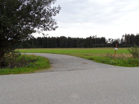 Foto 31